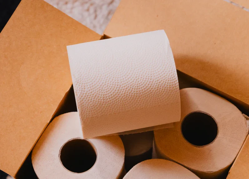 The Best Toilet Paper